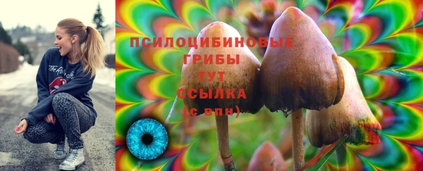 СК Абдулино