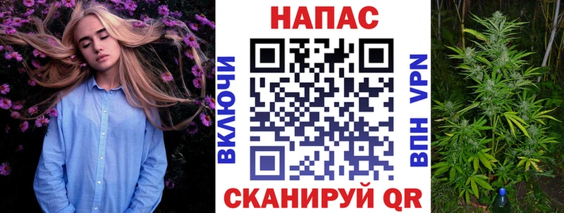 Бошки марихуана гибрид купить цена Адыгейск